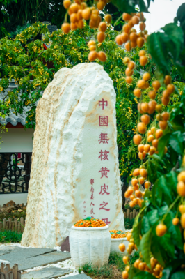 云浮市郁南縣委書記梁世軍:做強優勢做精特色,闖出特色農業大縣鄉村振興新路