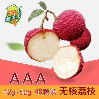 【龍博士】鉅園無(wú)核荔枝 至尊果( AAA恐龍蛋) 單果42g-52g 48顆/約4.6斤(2.3kg)