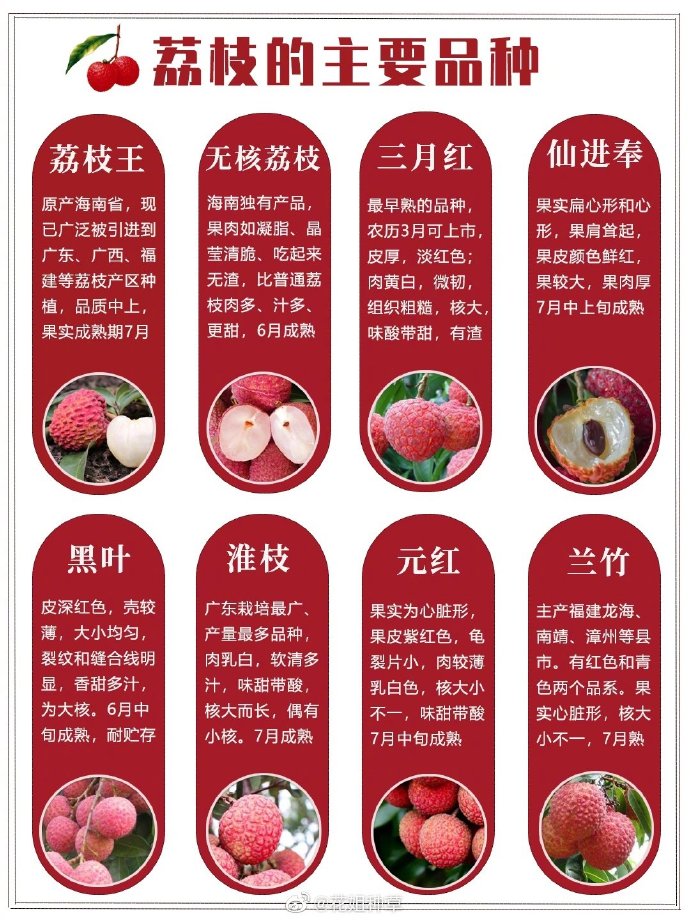 #廣州超55萬畝荔枝熟了#