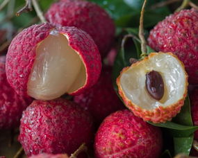 安心直采增城仙進(jìn)奉荔枝 品味無核香甜的盛夏佳果